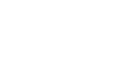 Wiselect logo white